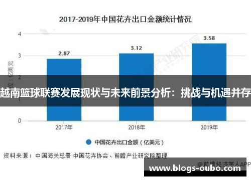 越南篮球联赛发展现状与未来前景分析：挑战与机遇并存