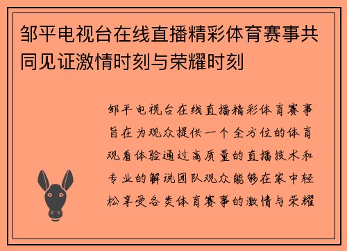 邹平电视台在线直播精彩体育赛事共同见证激情时刻与荣耀时刻